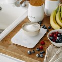 AD 3181 WHITE WAGA KUCHENNA