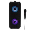 AD 1903 GŁOŚNIK BLUETOOTH Z RADIEM / FUNKCJA KARAOKE