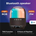 AD 1904 GŁOŚNIK BLUETOOTH Z FM