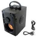 ZS53 GŁOŚNIK BLUETOOTH RADIO
