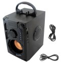 ZS53 GŁOŚNIK BLUETOOTH RADIO