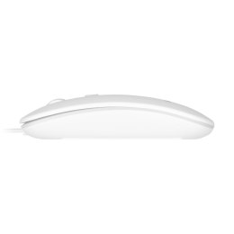 MYSZ REBEL WDM210 BIAŁA