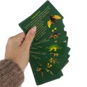 JAJO DINOZAURA - WYKO PALISKA 24981