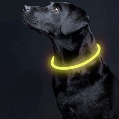 OBROŻA ŚWIECĄCA LED- REGULOWANA PURLOV 24200 OBROŻA ŚWIECĄCA LED- REGULOWANA PURLOV 24200