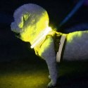OBROŻA ŚWIECĄCA LED- REGULOWANA PURLOV 24200