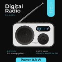 AD 1906 RADIO CYFROWE -  PLL AM/FM