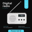 AD 1907 RADIO CYFROWE  PLL AM / FM