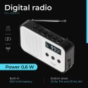 AD 1907 RADIO CYFROWE  PLL AM / FM