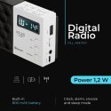 AD 1908 RADIO CYFROWE  PLL AM/FM
