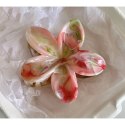SPINKA DO WŁOSÓW KLAMRA XL KWIAT PERŁOWY MELANŻ 7,5X8CM SP345
