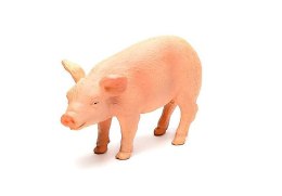 ANIMAL PLANET PROSIĘ 387055