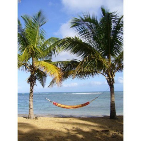 Hamak dwuosobowy barbados papaya 230x150cm Hamak dwuosobowy barbados papaya 230x150cm