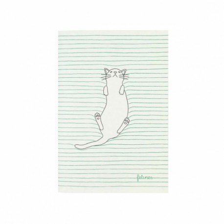 Mały zeszyt - koty - feline fine (green) Mały zeszyt - koty - feline fine (green)