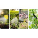 Opryskiwacz akumulatorowy Plonos PL-603