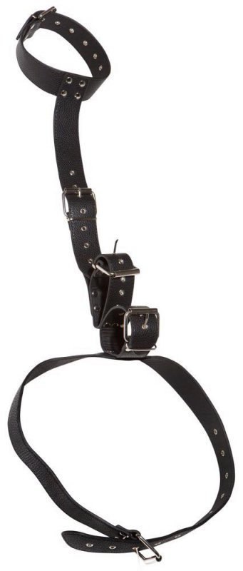 Neck Restraint with Handcuffs Neck Restraint with Handcuffs