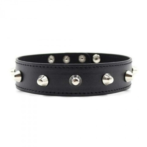 Wiązania-Collare Spikes Collar black Wiązania-Collare Spikes Collar black