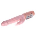 BAILE - FIRE BUNNY 48&#039;C Vibration