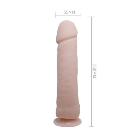 BAILE - The Big Penis BAILE - The Big Penis
