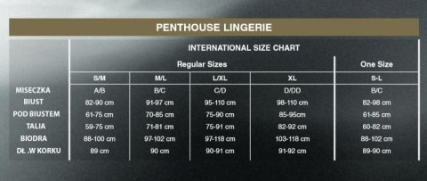 Bielizna-Toxic powder white M/L PENTHOUSE Bielizna-Toxic powder white M/L PENTHOUSE