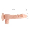 BAILE - COCK 8,5