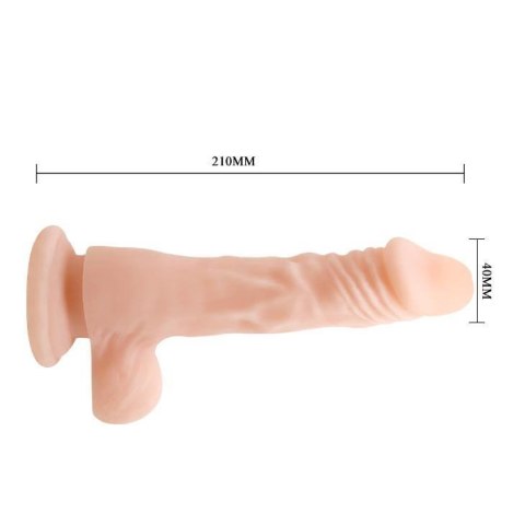 BAILE - COCK 8,5 BAILE - COCK 8,5