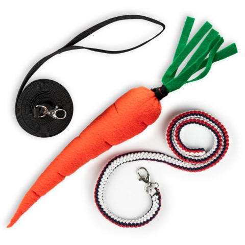 LONŻA DLA HOBBY HORSE - UWIĄZ I MARĆHEWKA W ZESTAWIE - SKIPPI - NA PREZENT LONŻA DLA HOBBY HORSE - UWIĄZ I MARĆHEWKA W ZESTAWIE - SKIPPI - NA PREZENT