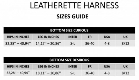 LEATHERETTE HARNESS CURIOUS LEATHERETTE HARNESS CURIOUS