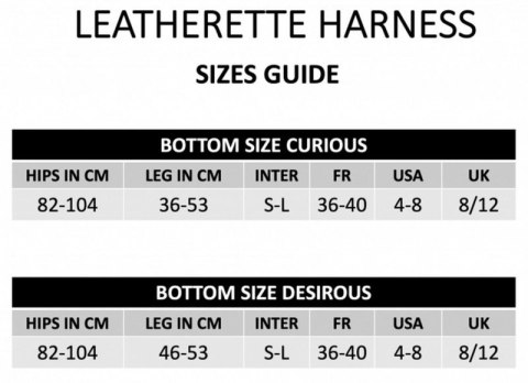 LEATHERETTE HARNESS CURIOUS LEATHERETTE HARNESS CURIOUS