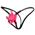 BAILE - ULTRA PASSIONATE HARNESS, 10 vibration functions BAILE - ULTRA PASSIONATE HARNESS, 10 vibration functions