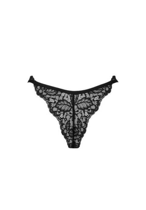 Bellastia stringi XL/2XL Bellastia stringi XL/2XL