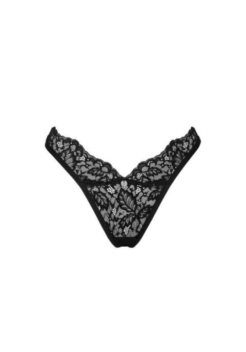 Bellastia stringi M/L Bellastia stringi M/L