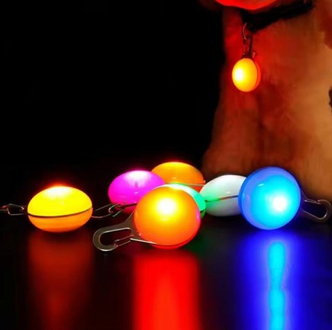 ZD126 Zawieszka led na obrożę dla psa ZD126 Zawieszka led na obrożę dla psa