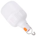 ZD13B Wisząca lampka led usb