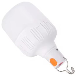 ZD13B Wisząca lampka led usb