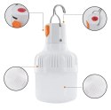 ZD13B Wisząca lampka led usb