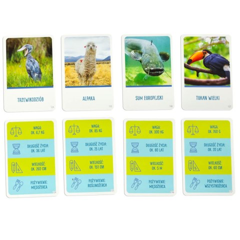 GRA EDUKACYJNA NA TROPIE GRA DLA CIEKAWSKICH 8+ MULTIGRA GRA EDUKACYJNA NA TROPIE GRA DLA CIEKAWSKICH 8+ MULTIGRA