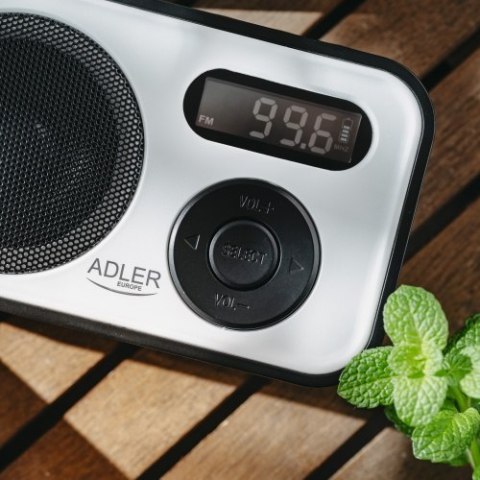 AD 1906 RADIO CYFROWE - PLL AM/FM AD 1906 RADIO CYFROWE - PLL AM/FM