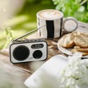AD 1906 RADIO CYFROWE -  PLL AM/FM