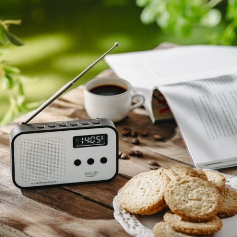 AD 1907 RADIO CYFROWE PLL AM / FM AD 1907 RADIO CYFROWE PLL AM / FM