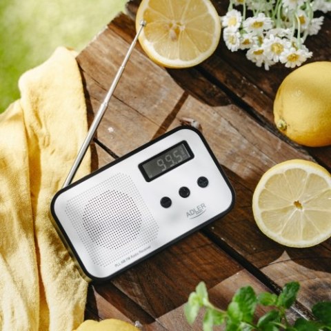 AD 1907 RADIO CYFROWE PLL AM / FM AD 1907 RADIO CYFROWE PLL AM / FM