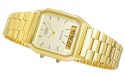 Zegarek Męski CASIO AQ-230GA-9DMQ
