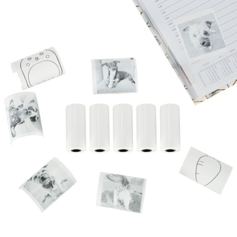 ROLKI PAPIER WKŁAD SAMOPRZYLEPNY TERMICZNY DO MINI DRUKARKI 5,7CMX4,5M 5 SZTUK ROLKI PAPIER WKŁAD SAMOPRZYLEPNY TERMICZNY DO MINI DRUKARKI 5,7CMX4,5M 5 SZTUK