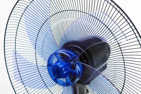 Wentylator podłogowy 50W, śr. 40 cm, 3 prędkości, oscylacja Wentylator podłogowy 50W, śr. 40 cm, 3 prędkości, oscylacja