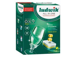 90-113# Tabletki do zmywarki 120 szt all in one p-free zgrzewka ludwik