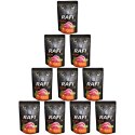 RAFI CAT SASZETKA KACZKA 10 X 100 G