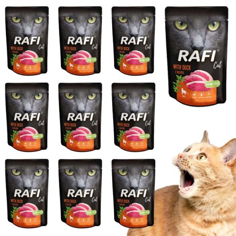 RAFI CAT SASZETKA KACZKA 10 X 100 G RAFI CAT SASZETKA KACZKA 10 X 100 G