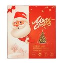 LAMPKI LED WISZĄCA DEKORACJA ŚWIĄTECZNA OKNA BAŁWANEK 49CM PRZYSSAWKA 10 LED