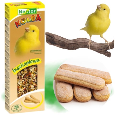 Karma dla kanarków Kolba Classic biszkoptowa NESTOR przysmak ziarna 2 szt