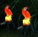 ZD50M Lampa solarna led papuga