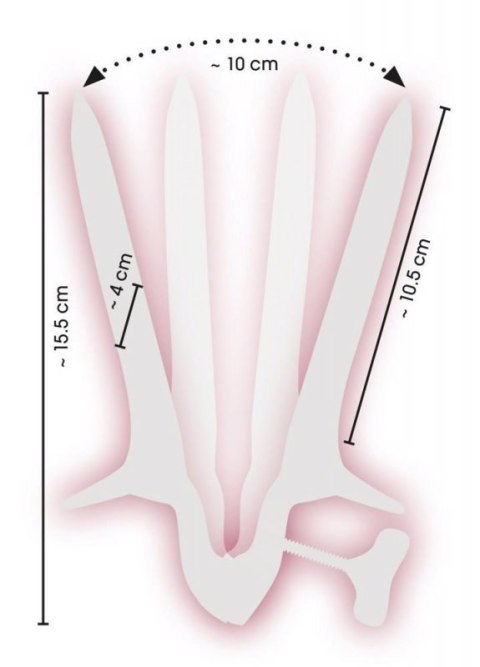 Vaginal Speculum Vaginal Speculum